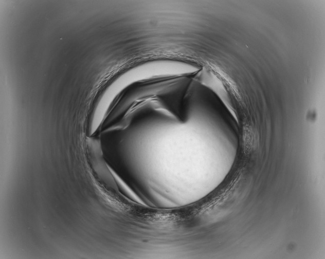 X0000098180493200805081027