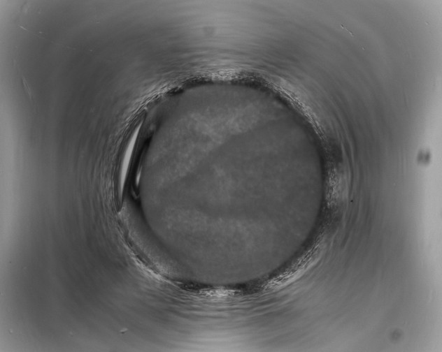 X0000098180497200805081027