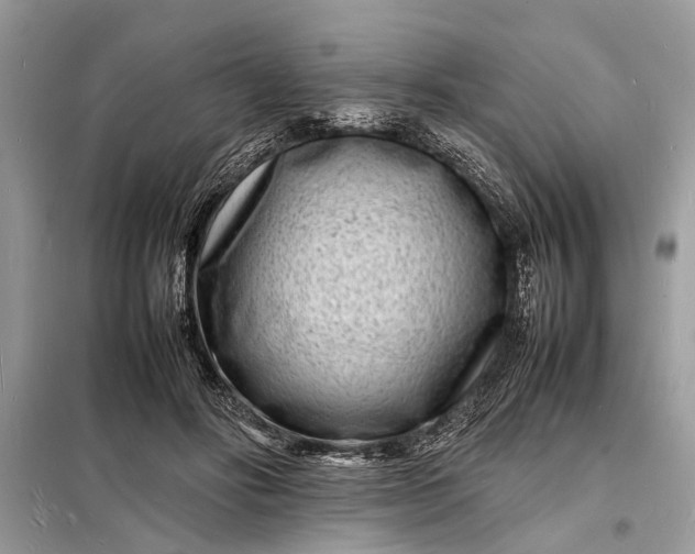 X0000098180502200805081027