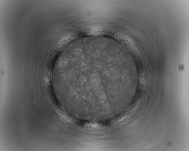 X0000098180503200805081027