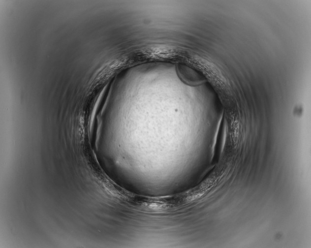 X0000098180506200805081027