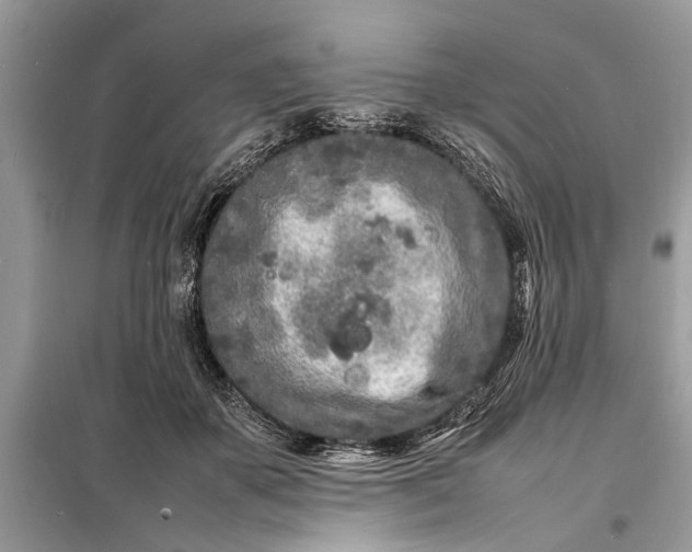 X0000098180507200805081027