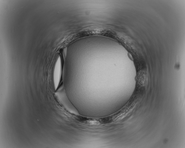 X0000098180509200805081027