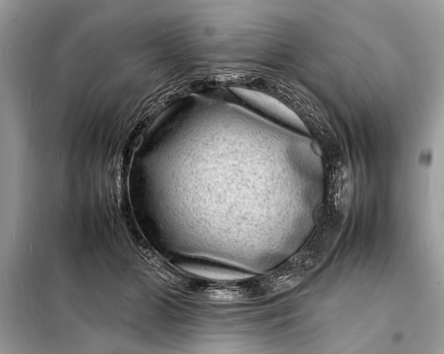 X0000098180510200805081027