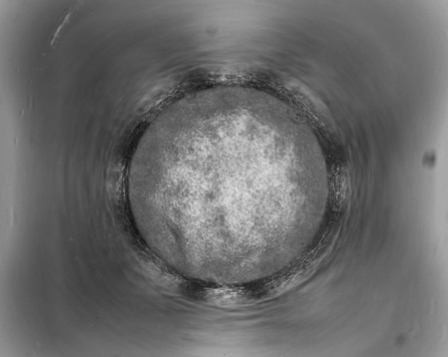 X0000098180511200805081027