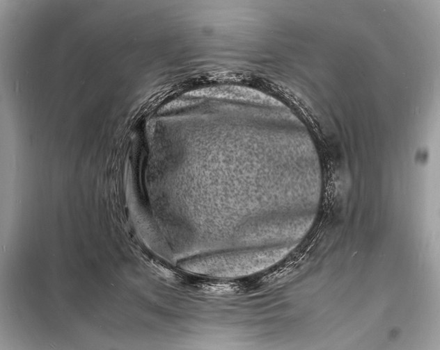 X0000098180513200805081027