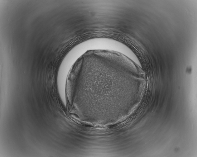 X0000098180514200805081027