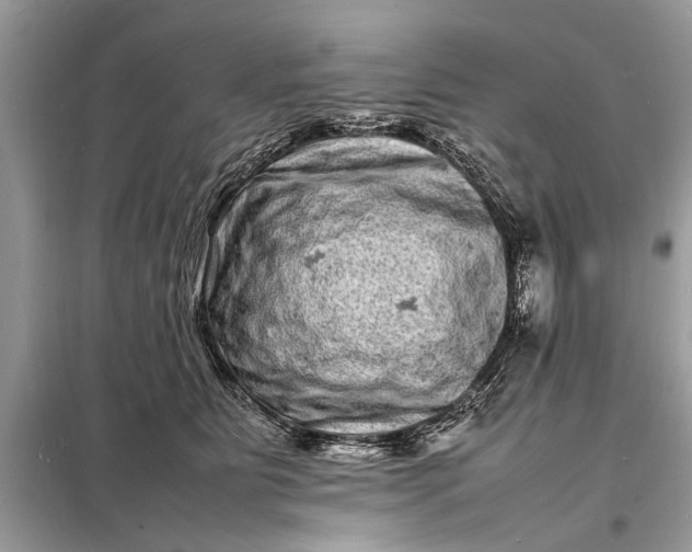 X0000098180515200805081027