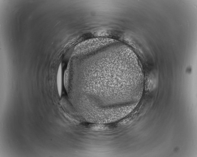 X0000098180521200805081027