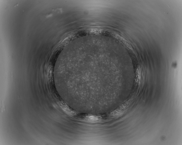 X0000098180522200805081027