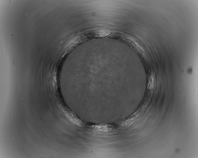 X0000098180524200805081027