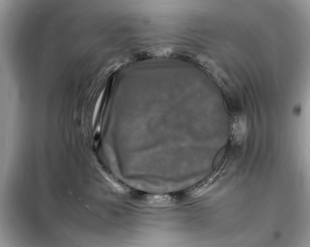 X0000098180525200805081027