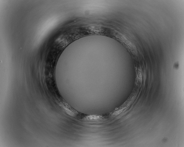 X0000098180526200805081027