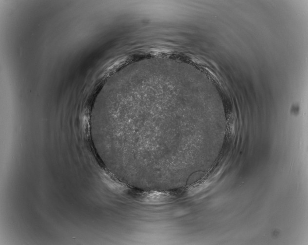 X0000098180527200805081027