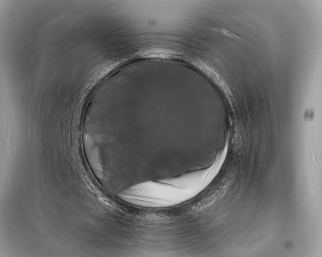 X0000098180529200805081026