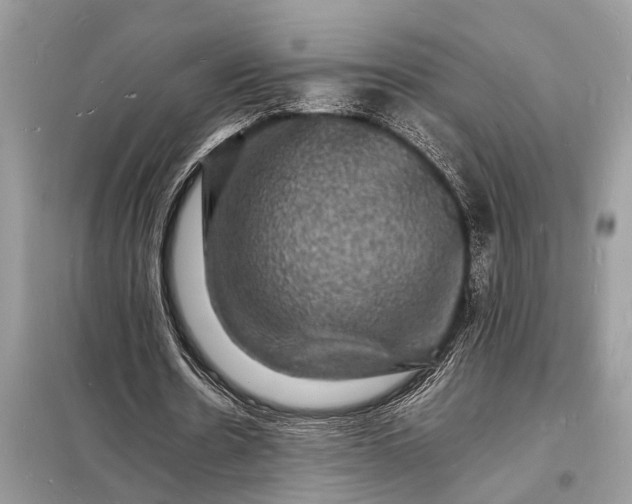 X0000098180530200805081026