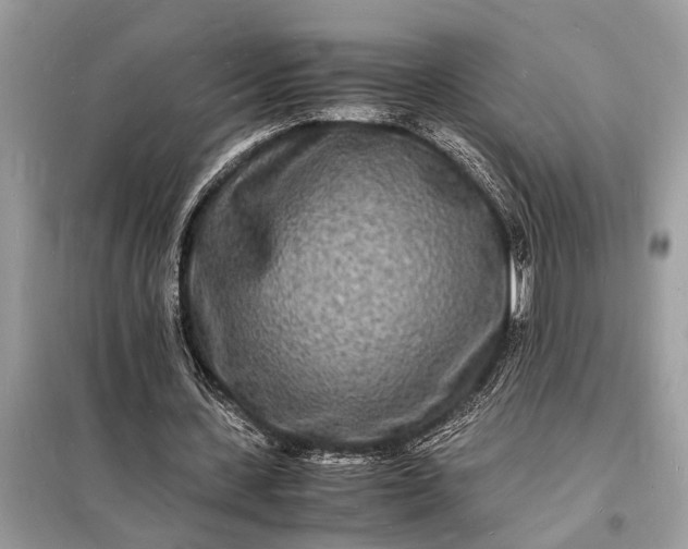 X0000098180531200805081026