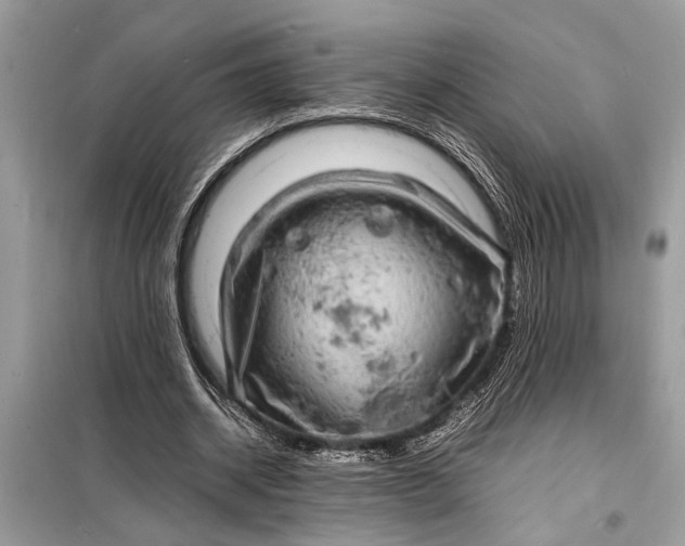 X0000098180534200805081026