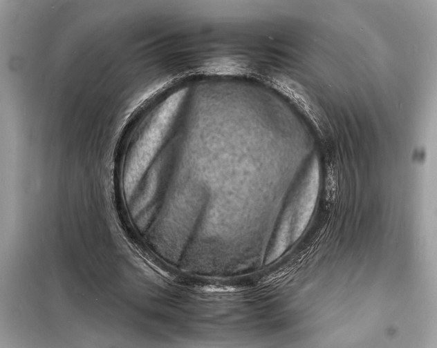 X0000098180535200805081026