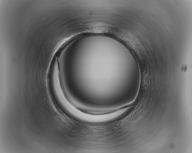 X0000098180536200805081026