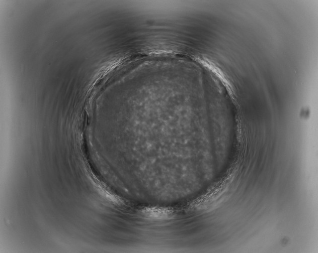 X0000098180537200805081026