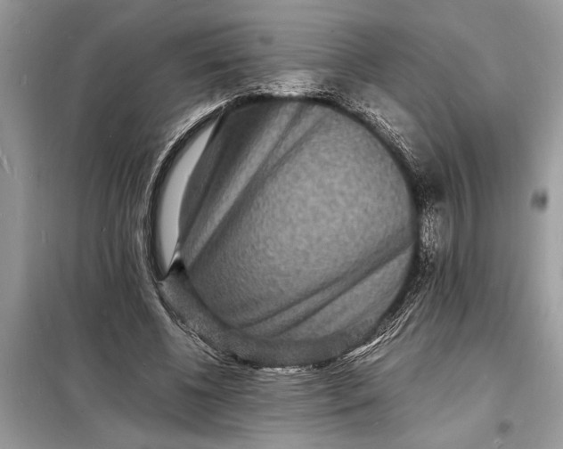 X0000098180540200805081026