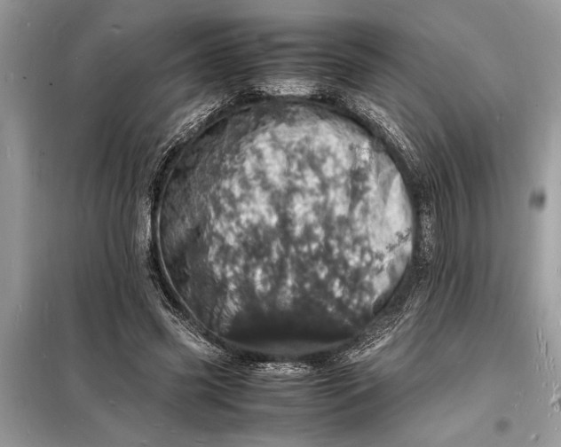 X0000098180541200805081026