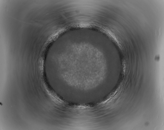 X0000098180542200805081026