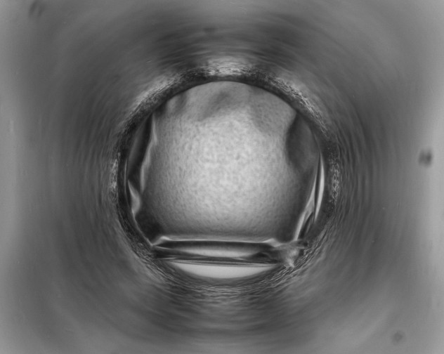 X0000098180543200805081026