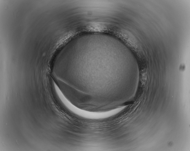 X0000098180544200805081026