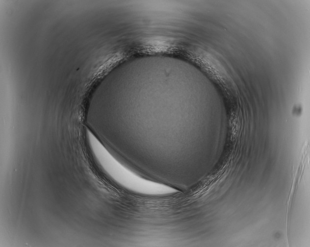 X0000098180546200805081026