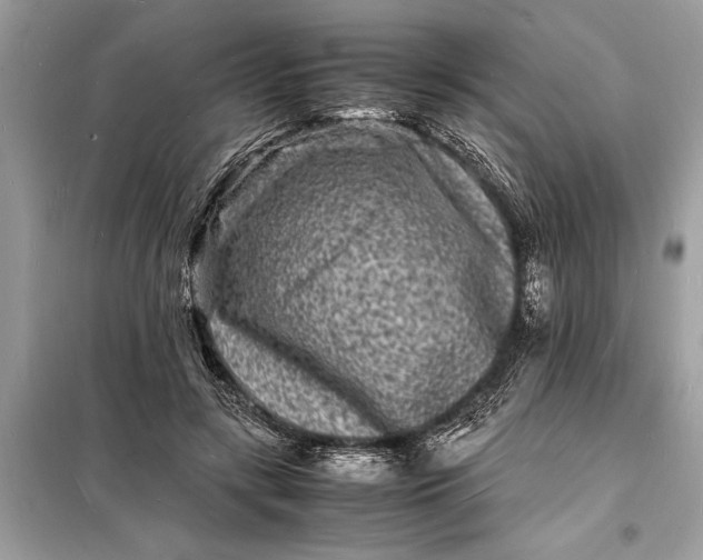 X0000098180547200805081026