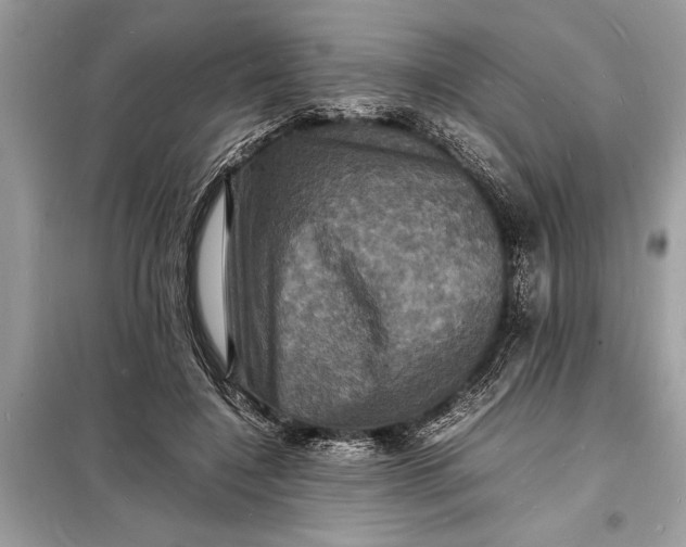 X0000098180548200805081026