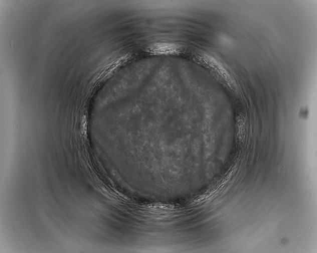 X0000098180549200805081026