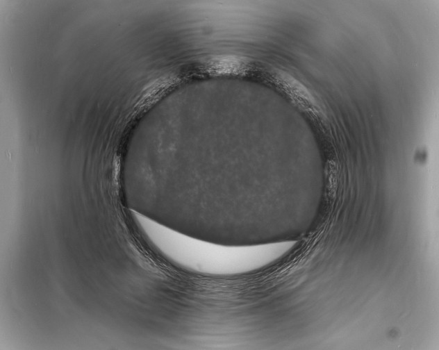 X0000098180550200805081026