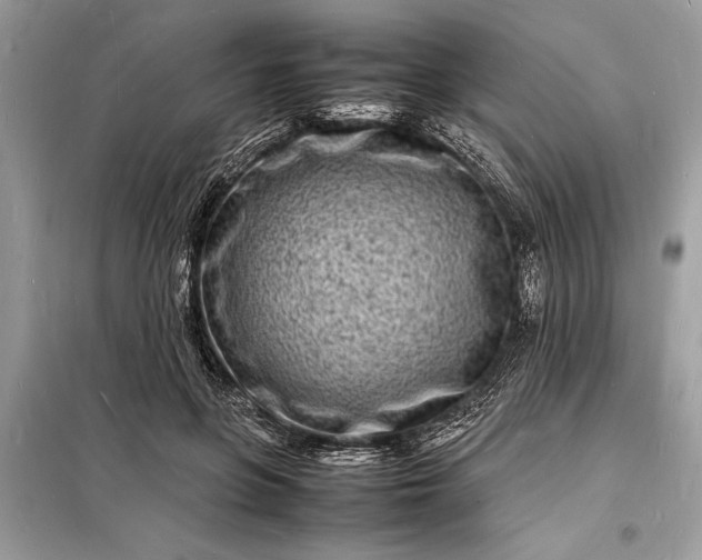 X0000098180551200805081026