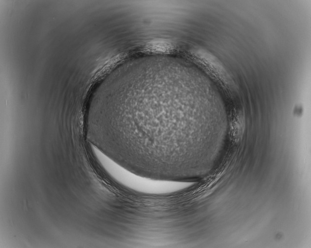 X0000098180552200805081026