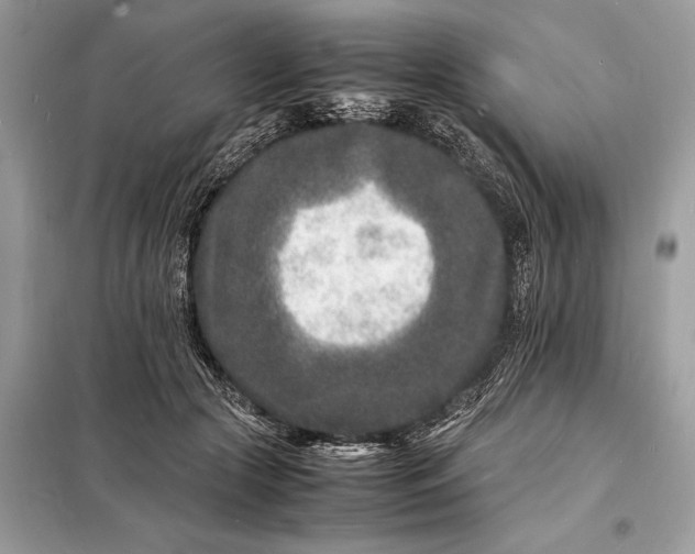 X0000098180553200805081026