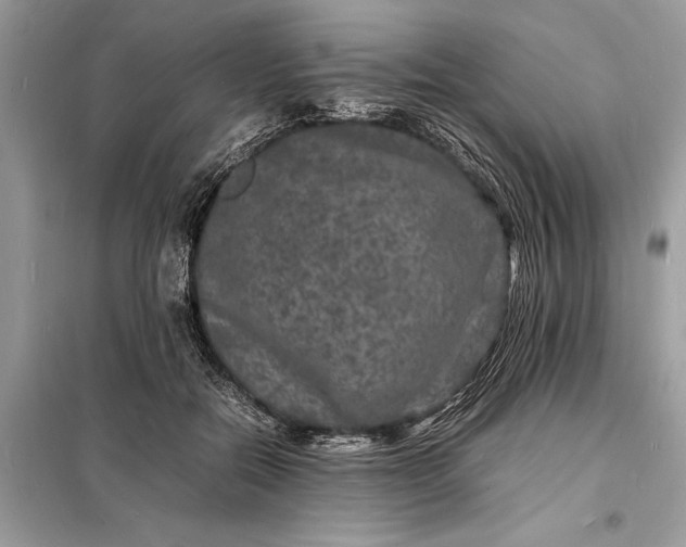 X0000098180554200805081026