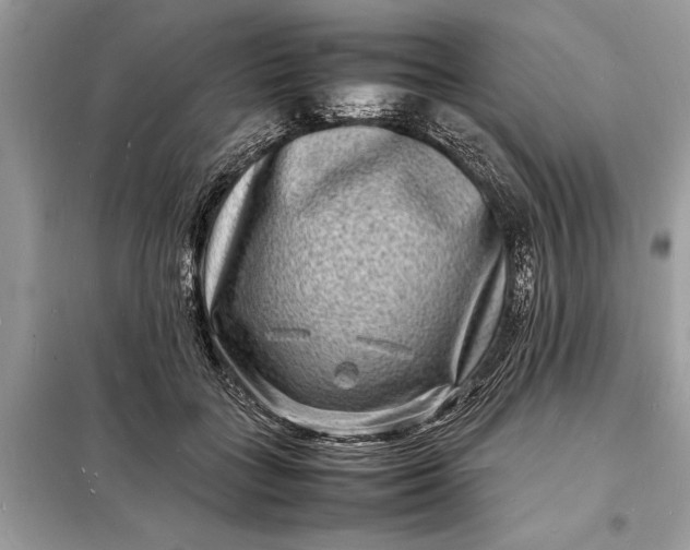 X0000098180555200805081026