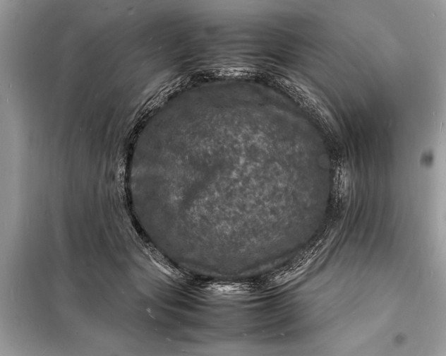 X0000098180557200805081026