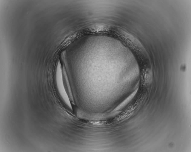 X0000098180558200805081026