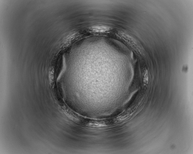 X0000098180559200805081026