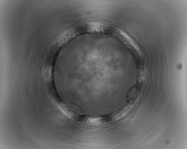 X0000098180560200805081026