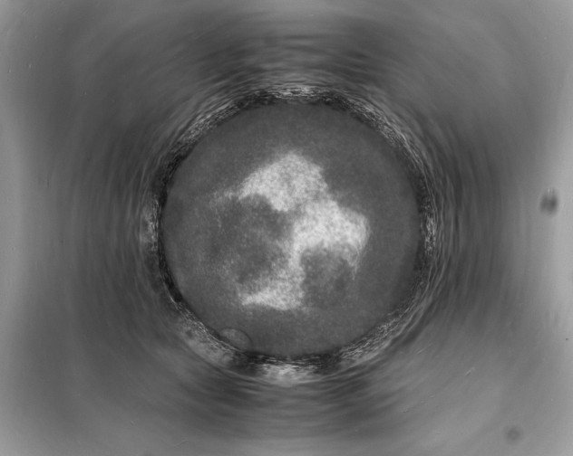 X0000098180561200805081026