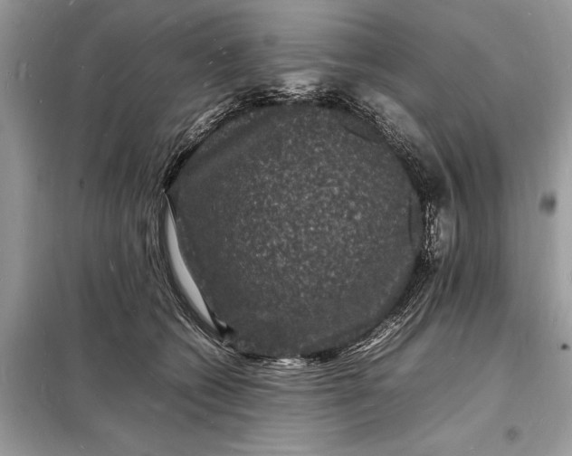 X0000098180562200805081026