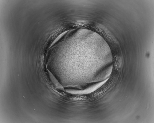 X0000098180563200805081026