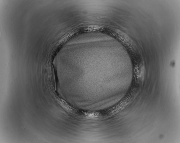 X0000098180564200805081026