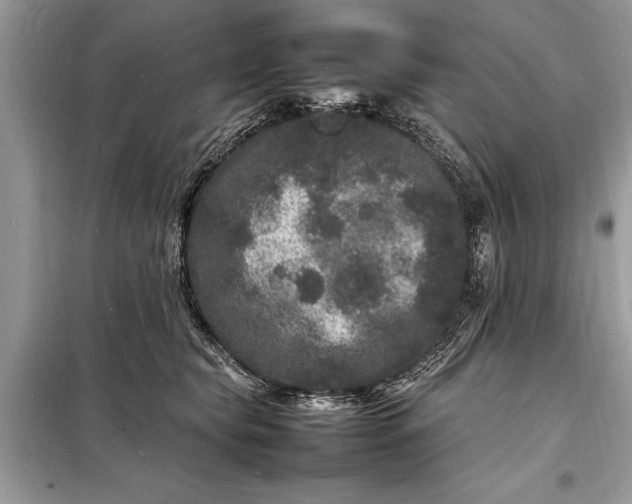 X0000098180565200805081026