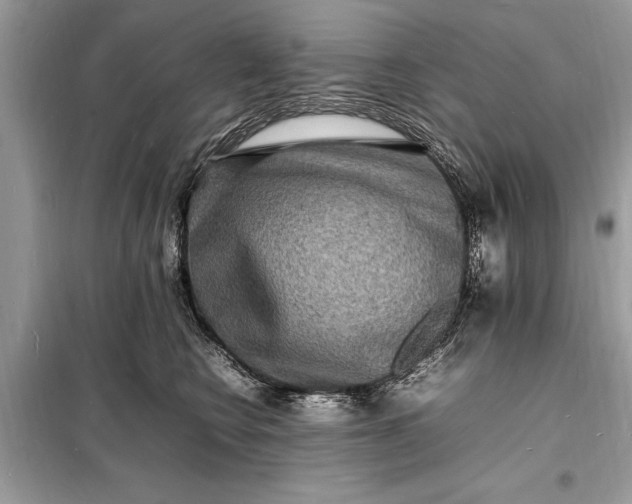 X0000098180566200805081026